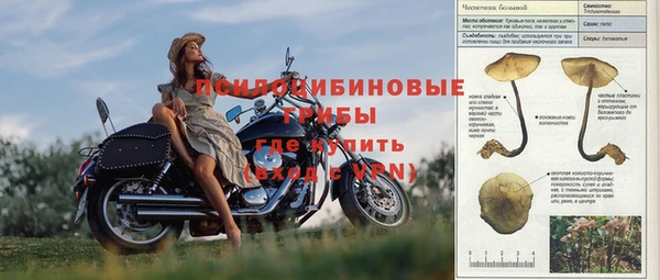 амф Абаза
