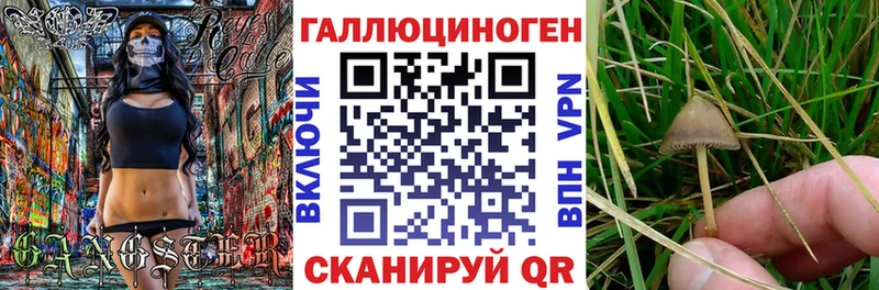 площадка состав  Искитим  Псилоцибиновые грибы мухоморы 