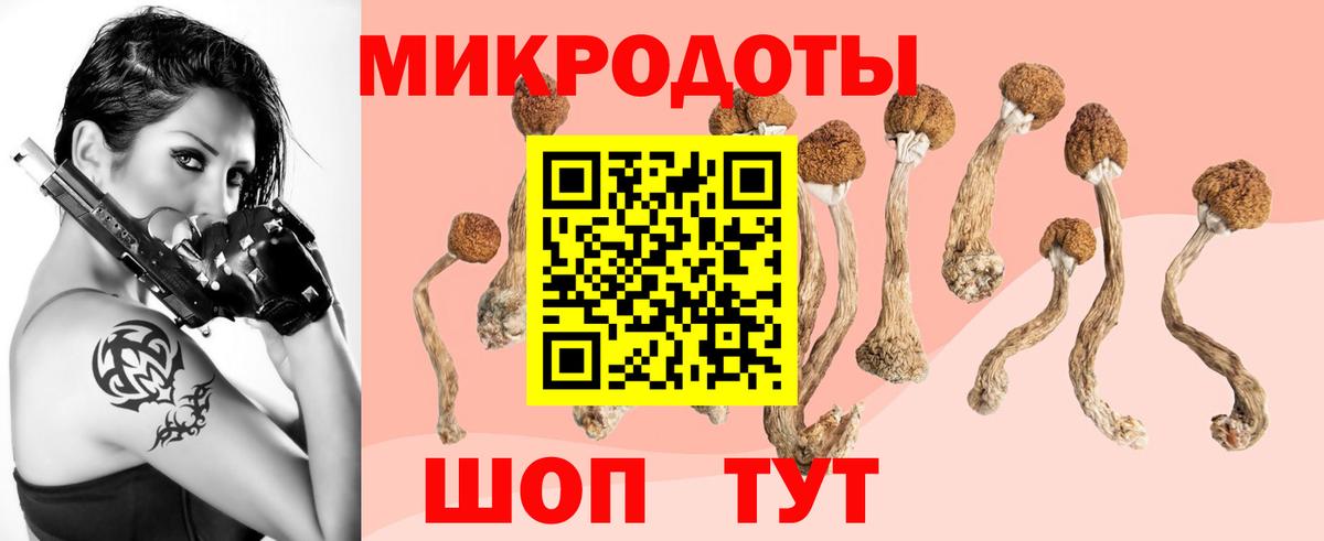 Искитим  Псилоцибиновые грибы GOLDEN TEACHER  Вход с VPN 